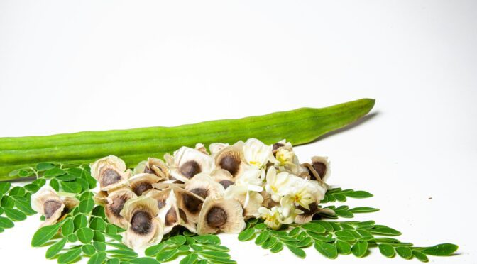 a cucumber and some flowers on a white surface