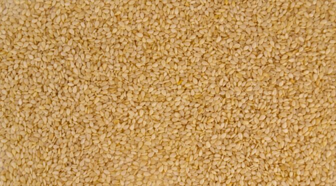brown and white area rug